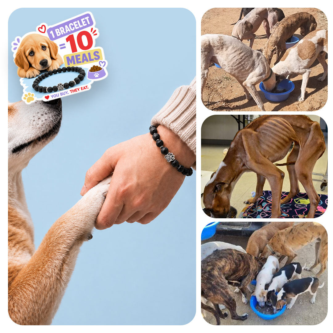 One Bracelet Feeds 10 Dogs. Live Feeding Videos Included.