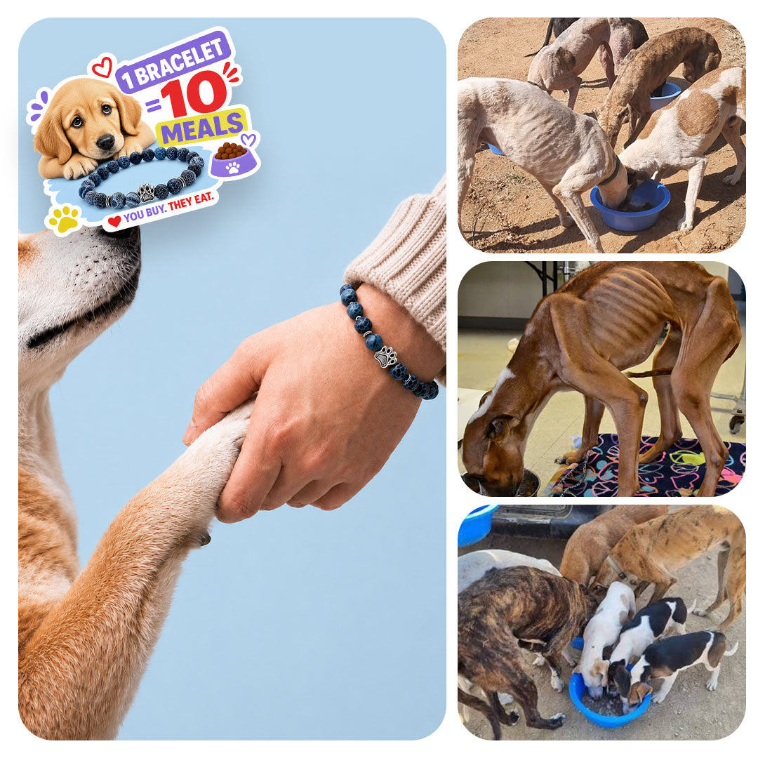 One Bracelet Feeds 10 Dogs. Live Feeding Videos Included.