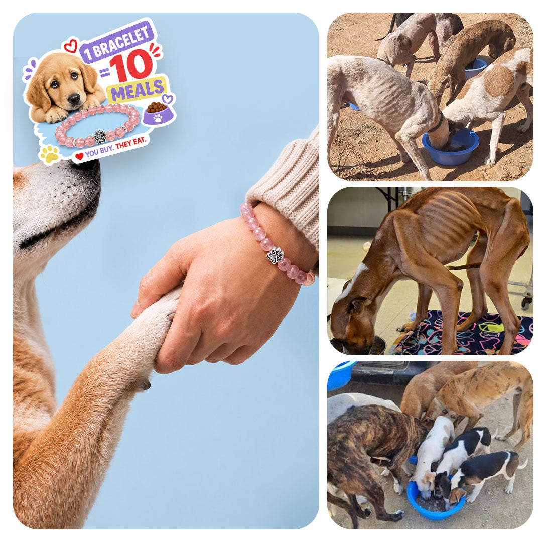 One Bracelet Feeds 10 Dogs. Live Feeding Videos Included.
